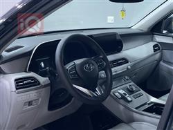 هیوندای پالیسەید